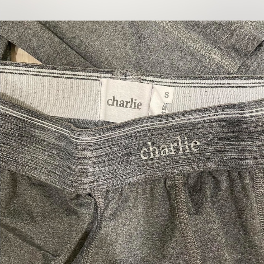 Gray Charlie Boxer Briefs